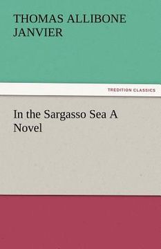 portada in the sargasso sea a novel (en Inglés)