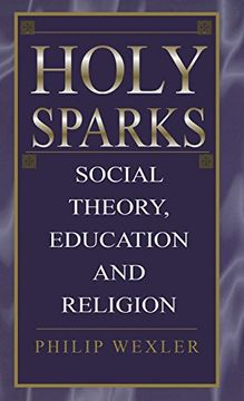 portada Holy Sparks: Social Theory, Education, and Religion