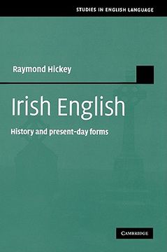 portada Irish English Paperback (Studies in English Language) 
