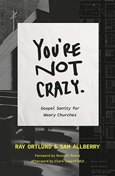 portada You re not Crazy Gospel Sanity for Wear (in English)