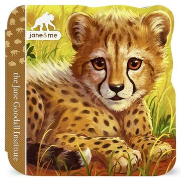 portada Cheetah (Jane & me: Jane Goodall Institute Children's Interactive Lift-A-Flap Board Book) (in English)