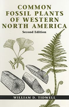 portada Common Fossil Plants of Western North America 