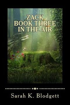 portada Zack Book Three, In the Air: Noah Text (Just Rimes) (en Inglés)