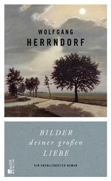 portada Bilder deiner großen Liebe: Ein unvollendeter Roman (in German)