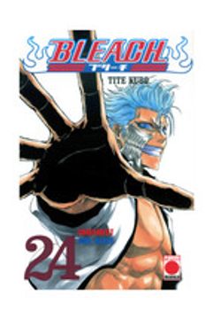 Bleach 24 (Shonen Manga Bleach)