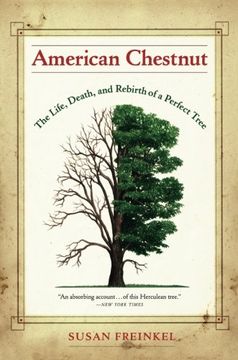 portada American Chestnut: The Life, Death, and Rebirth of a Perfect Tree (en Inglés)