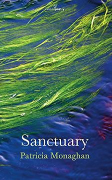 portada Sanctuary (Salmon Poetry)