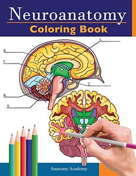 portada Neuroanatomy Coloring Book: Incredibly Detailed Self-Test Human Brain Coloring Book for Neuroscience | Perfect Gift for Medical School Students, Nurses, Doctors and Adults 