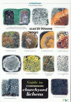 portada Guide to Common Churchyard Lichens