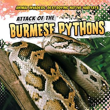 portada Attack of the Burmese Pythons (Animal Invaders: Destroying Native Habitats) (en Inglés)