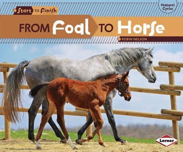 portada from foal to horse