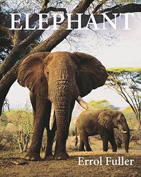 portada Elephant 
