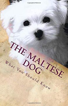 portada The Maltese Dog: What you Should Know (en Inglés)