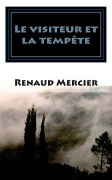 portada Le visiteur et la tempête (in French)