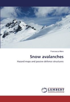 portada Snow avalanches: Hazard maps and passive defence structures