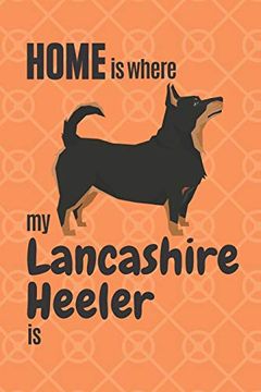 portada Home is Where my Lancashire Heeler is: For Lancashire Heeler dog Fans (en Inglés)