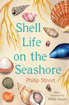 portada Shell Life on the Seashore (en Inglés)