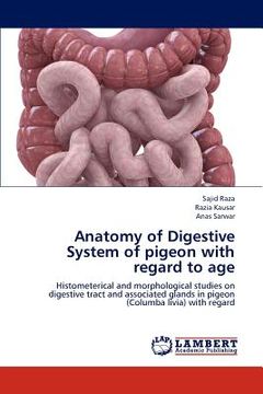 portada anatomy of digestive system of pigeon with regard to age