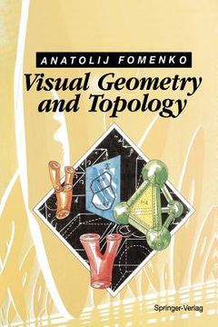 portada visual geometry and topology (en Inglés)