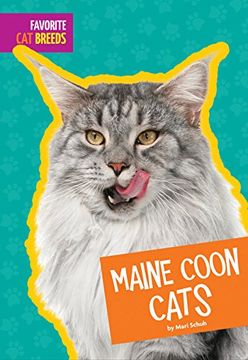 portada Maine Coon Cats (en Inglés)