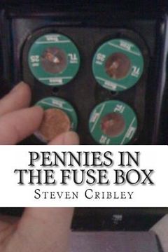 portada Pennies IN The Fusebox: An Anti-Epic Poem (in English)