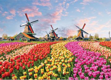 portada Peter Pauper Press Windmills and Tulips 1000 Piece Jigsaw Puzzle (in English)