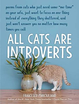portada All Cats are Introverts (en Inglés)
