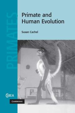 portada Primate and Human Evolution (Cambridge Studies in Biological and Evolutionary Anthropology) 