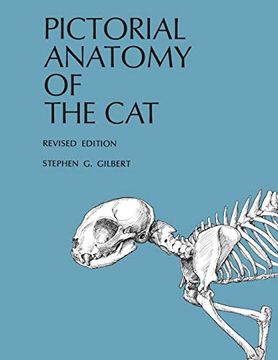 portada Pictorial Anatomy of the cat (en Inglés)