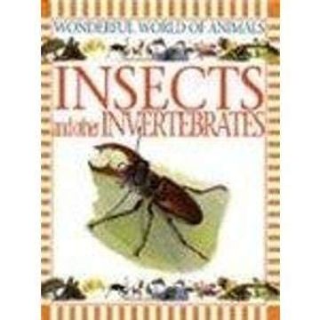 portada Insects and Other Invertebrates (Wonderful World of Animals) (en Inglés)