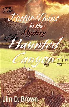 portada the foster twins in the mystery of the haunted canyon