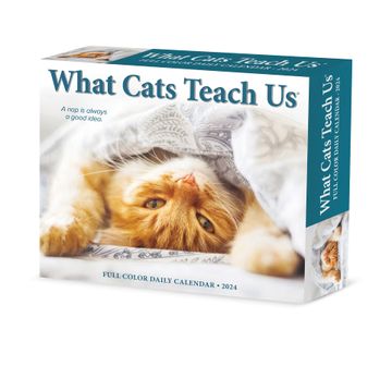portada What Cats Teach us 2024 Calendar (en Inglés)