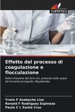 portada Effetto del processo di coagulazione e flocculazione (en Italiano)