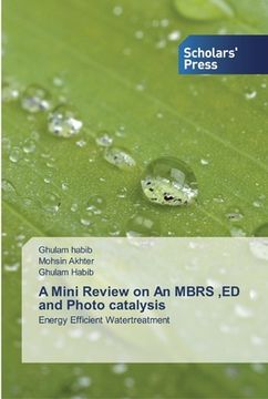 portada A Mini Review on An MBRS, ED and Photo catalysis (en Inglés)