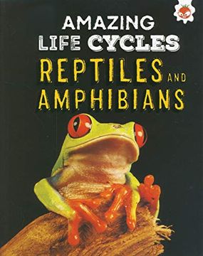 portada Reptiles and Amphibians - Amazing Life Cycles (en Inglés)