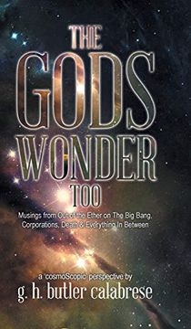 portada The Gods Wonder Too: Musings From out of the Ether (in English)