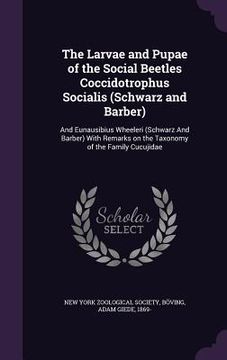 portada The Larvae and Pupae of the Social Beetles Coccidotrophus Socialis (Schwarz and Barber): And Eunausibius Wheeleri (Schwarz And Barber) With Remarks on (en Inglés)
