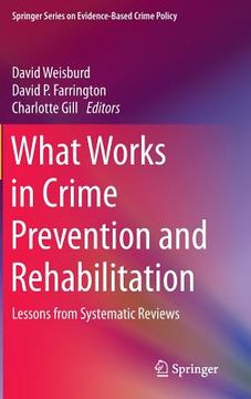 portada What Works In Crime Prevention And Rehabilitation: Lessons From Systematic Reviews (springer Series On Evidence-based Crime Policy) (in English)