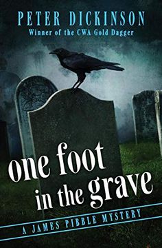 portada One Foot in the Grave (The James Pibble Mysteries) (en Inglés)