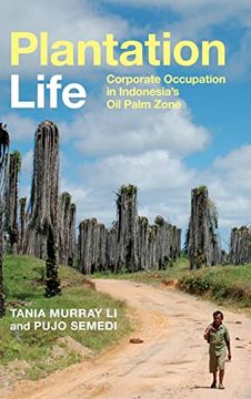 portada Plantation Life: Corporate Occupation in Indonesia'S oil Palm Zone (in English)