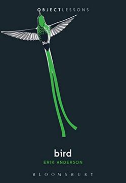 portada Bird (Object Lessons) (in English)