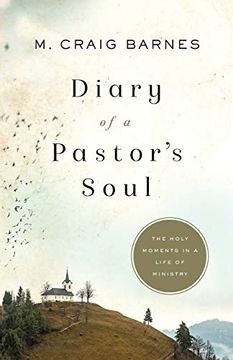 portada Diary of a Pastor’S Soul: The Holy Moments in a Life of Ministry (in English)