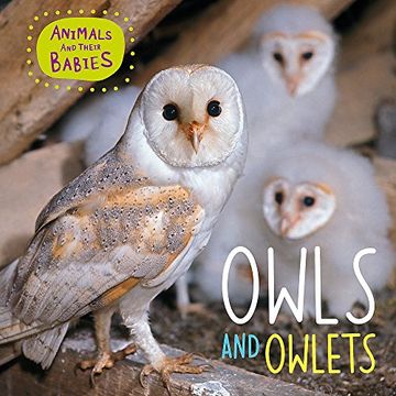 portada Owls & Owlets (Animals and Their Babies) (en Inglés)