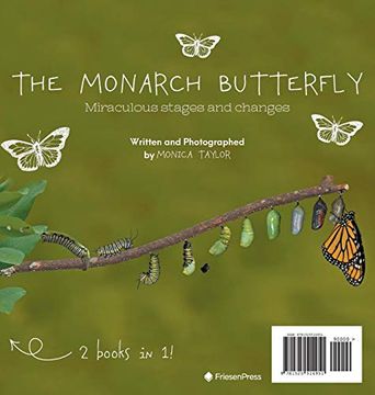 portada The Monarch Butterfly and the Cecropia Moth: Miraculous Stages and Changes 