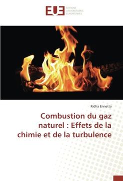 portada Combustion du gaz naturel : Effets de la chimie et de la turbulence (OMN.UNIV.EUROP.)