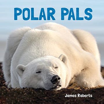 portada Polar Pals (Animal Lovers) (in English)