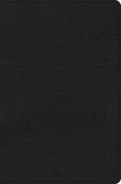 portada CSB Everyday Study Bible, Black Bonded Leather (en Inglés)