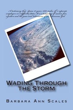 portada wading through the storm (en Inglés)