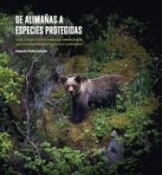 portada De Alimañas A Especies Protegidas . Osos, Lobos Y Otros Animales Amenazados En Las Montañas De Palencia Y Cantabria (in Spanish)