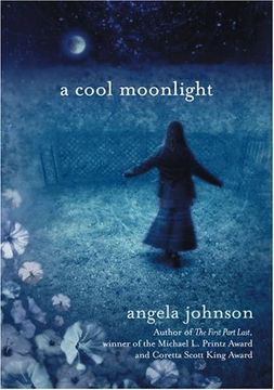portada A Cool Moonlight (en Inglés)